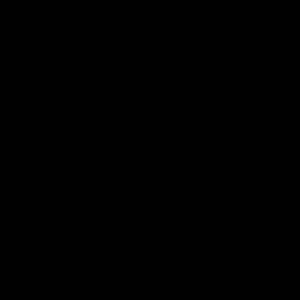 Meet your Posher, Charley